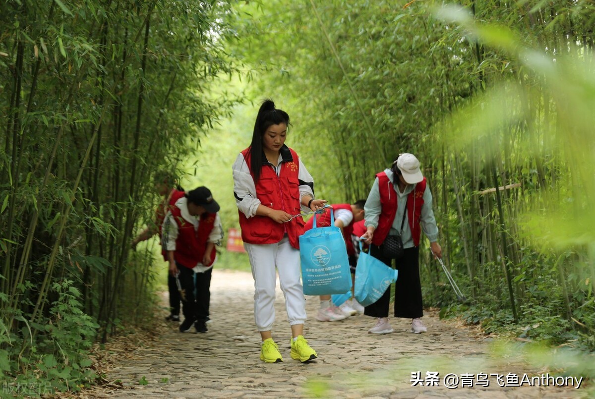 绿色是发展的最美底色,绿色生态与和谐共生