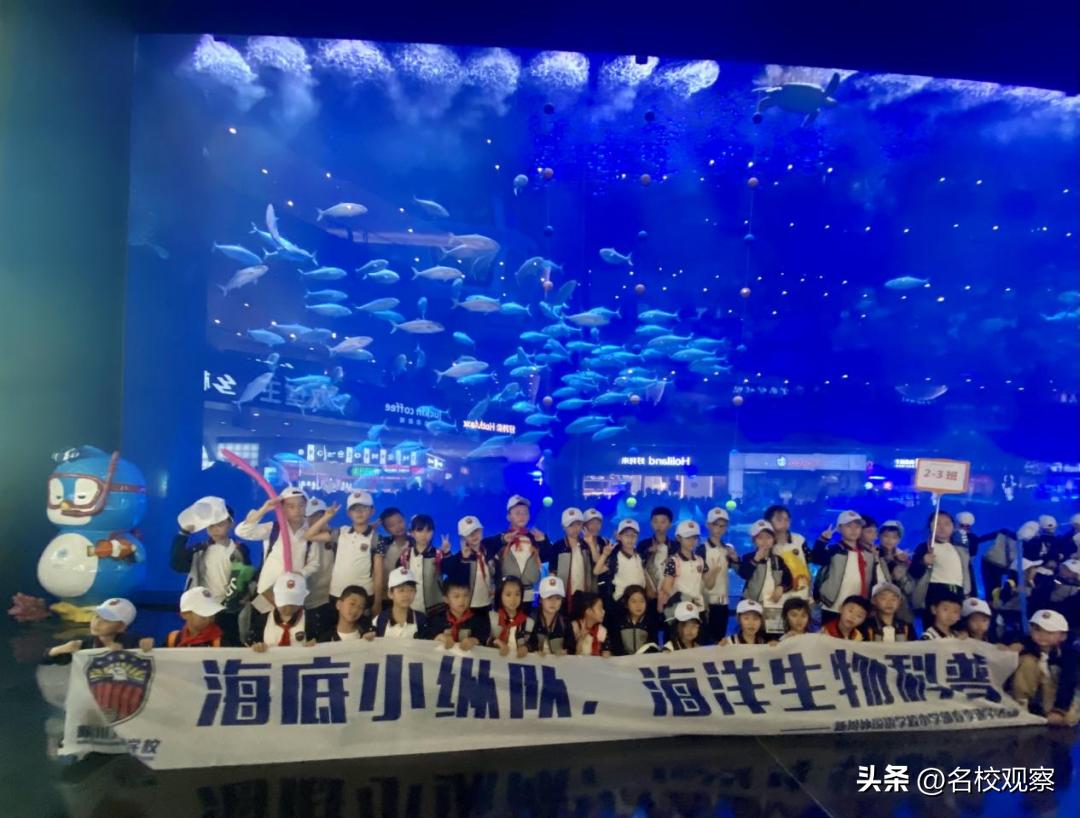 蔚蓝做苍穹，鱼儿变繁星！新川学子，走进浩海立方，探秘无限海洋