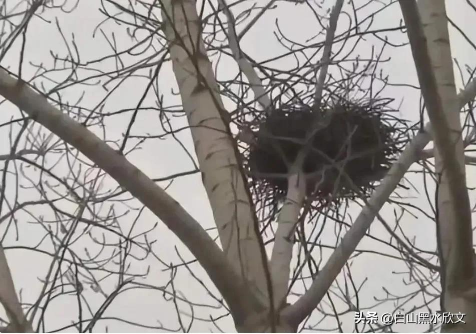 农村小孩的悲惨事,农村小孩的悲惨生活