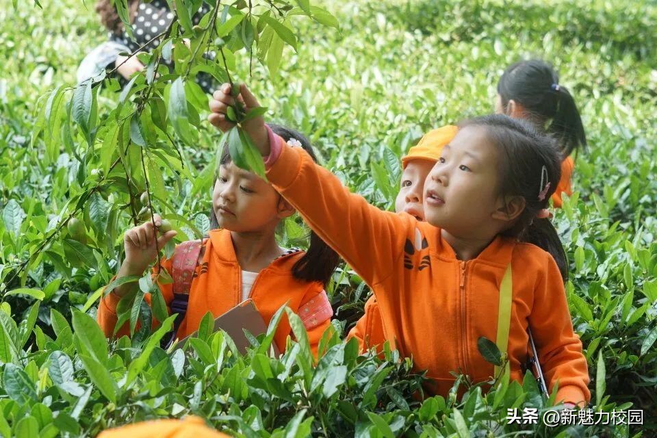 耕耘·我们的教育答卷——雨花台区学校特色与品牌系列报道8