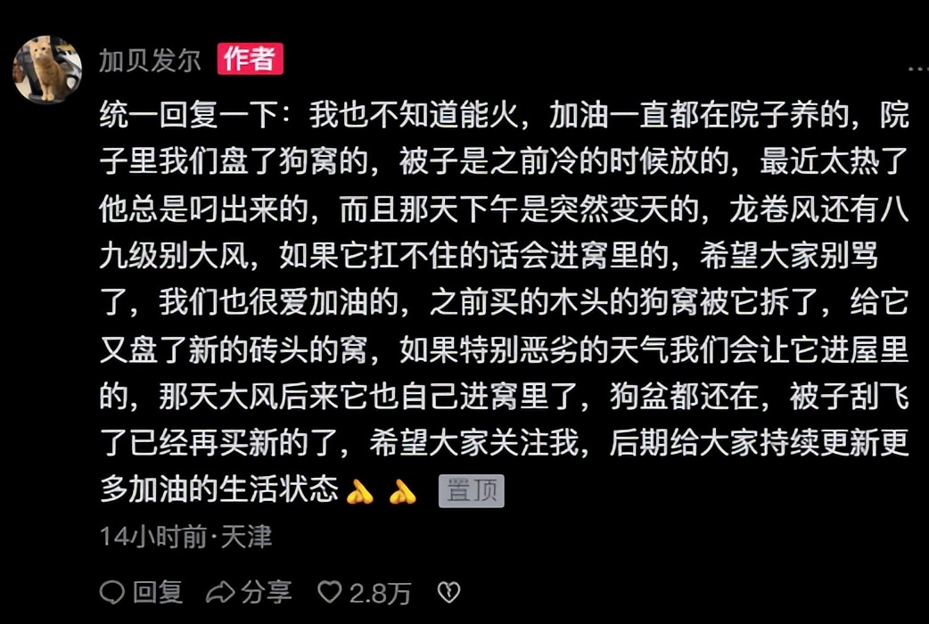 柴犬笑死,笑死人的柴犬视频