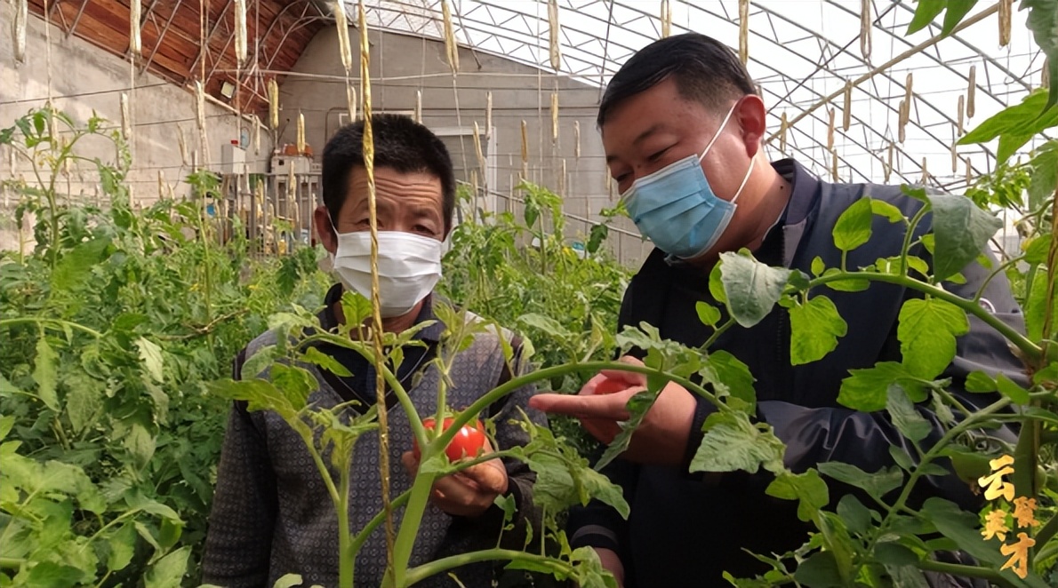 第七期乡村振兴致富带头人,乡村振兴致富带头人第二期