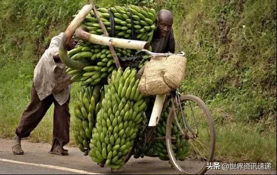 有辆自行车就是土豪，一把锄头就是彩礼：非洲国家布隆迪