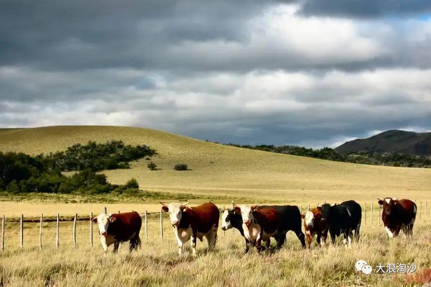 拉美之殇：离美国太近，离天堂太远