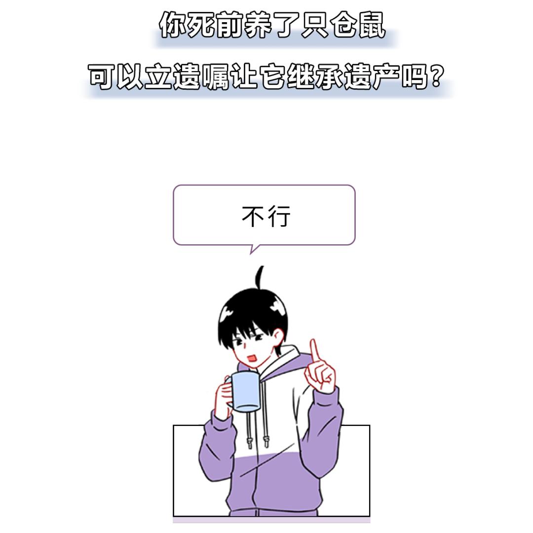 被峨眉山猴子打可以反击吗,峨眉山猴子被人类反杀