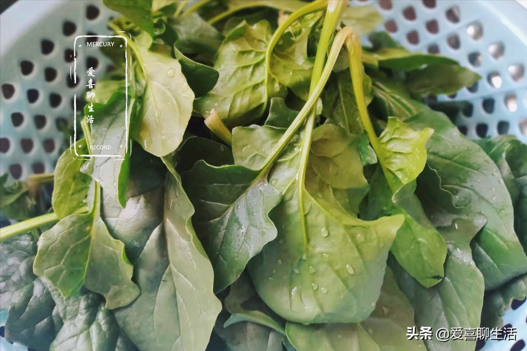 教你几道冬季美味菜谱,入冬必吃六种食物