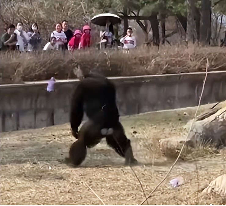 开盘早知道新闻一览,时政新闻2024年1月热点