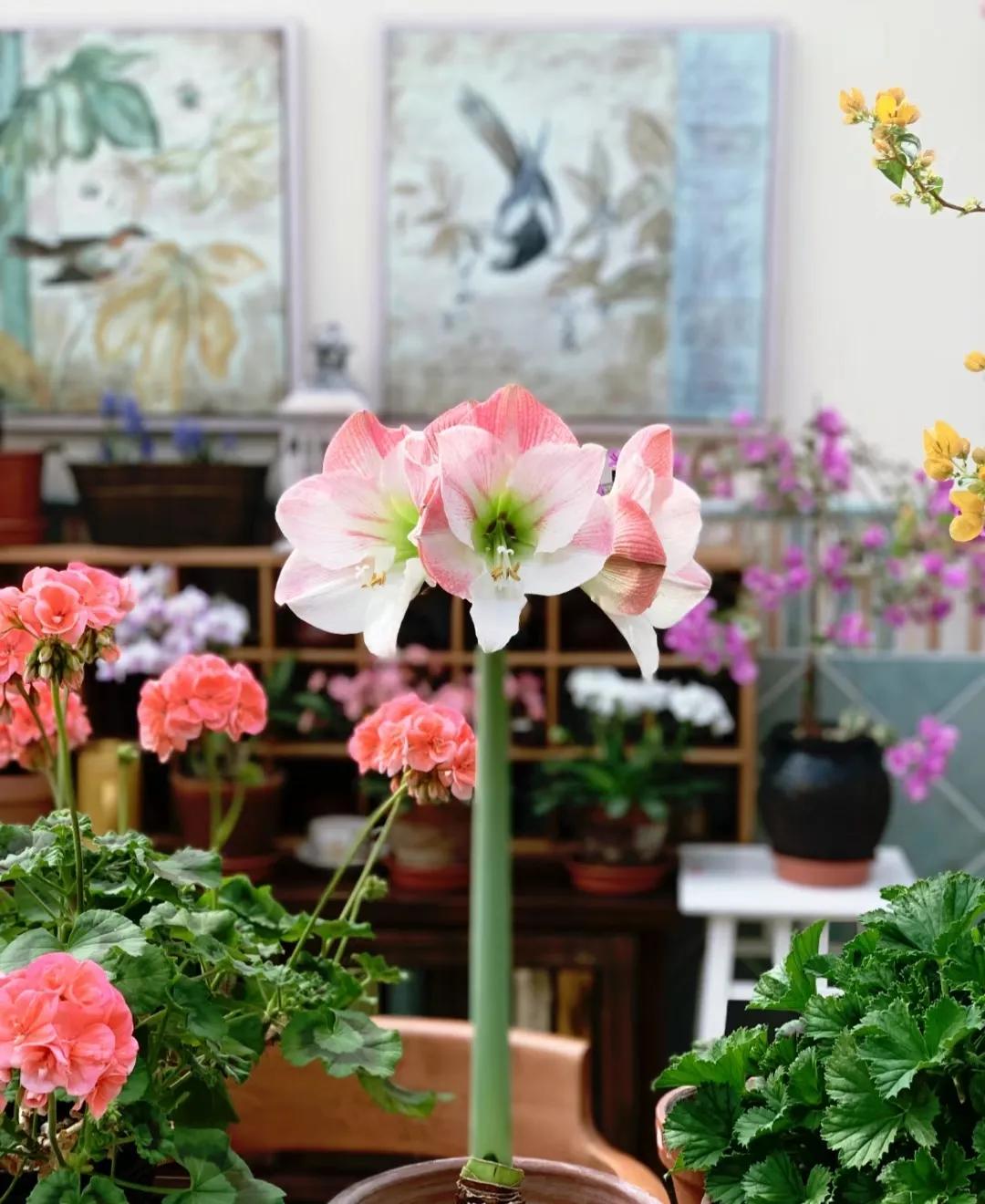 90后将天台改造成空中花园,90后姑娘回家改造楼顶花园