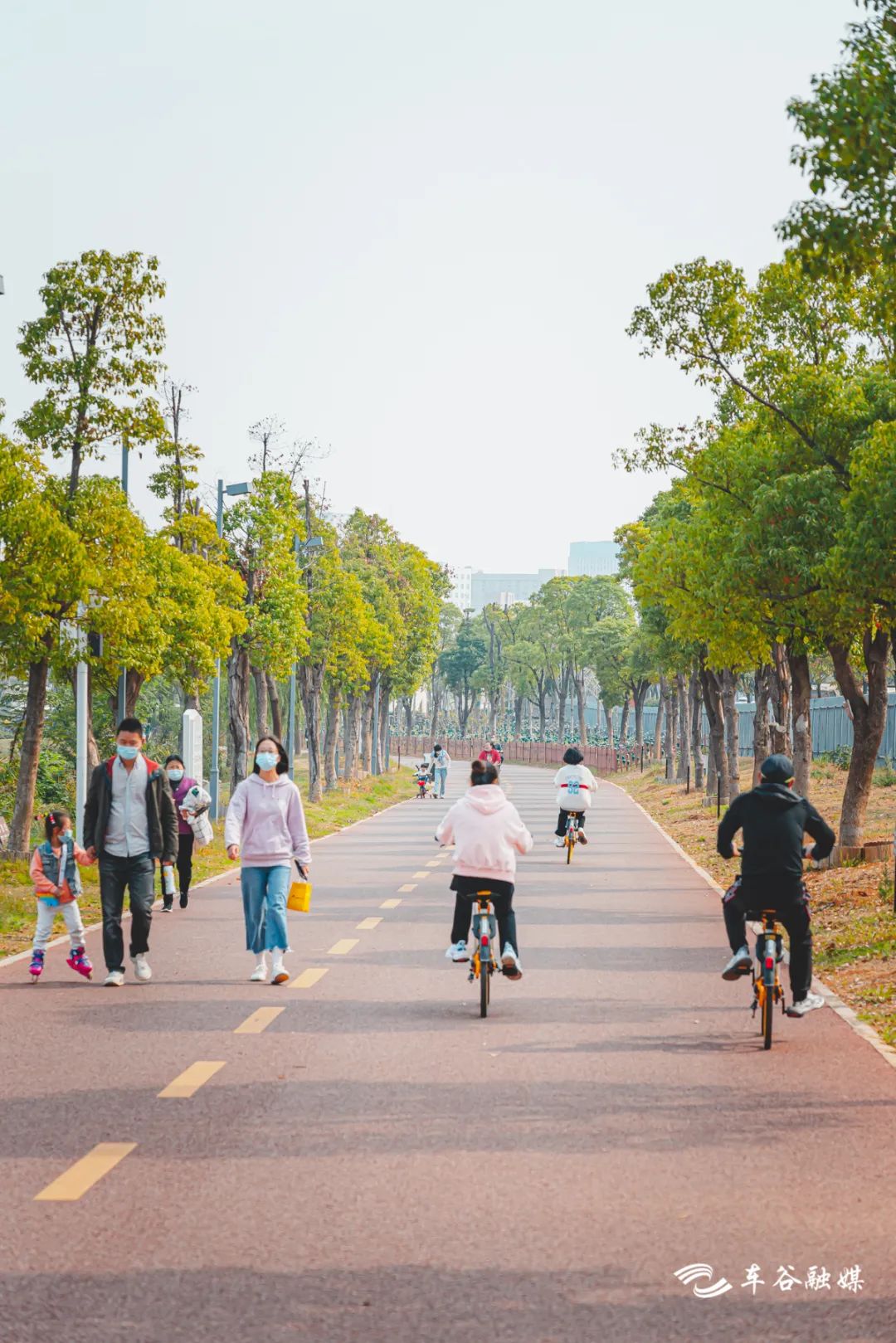 秋日暖阳骑行绿道,骑车绕城绿道值得打卡的推荐