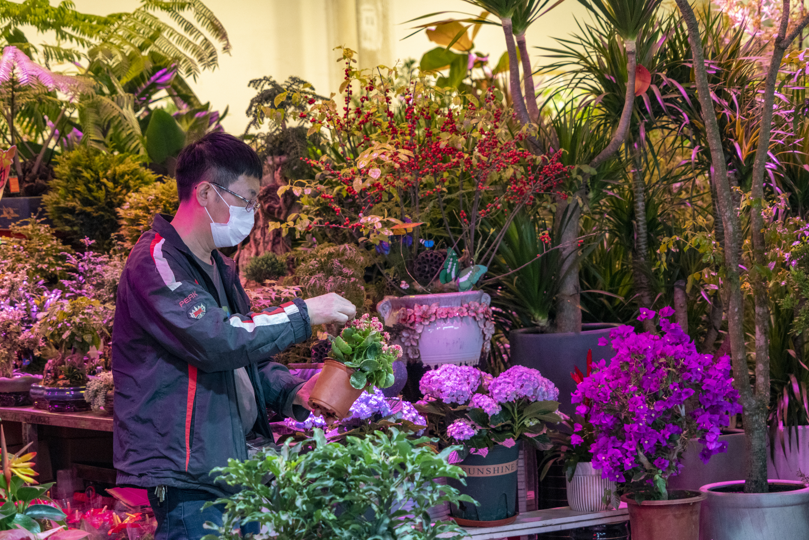 沈阳老北市场花鱼市场开业了吗,沈阳老北市场花鱼
