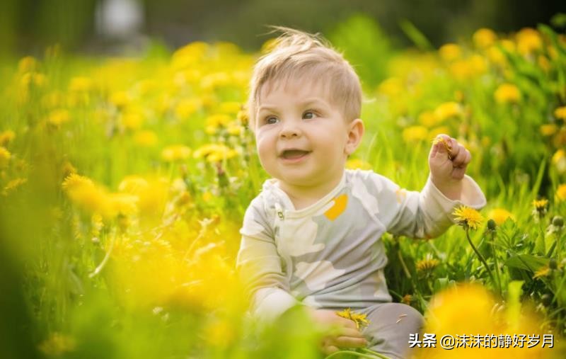 夏天天气热宝宝没胃口吃些什么呢,宝宝夏季胃口差试试这些方法
