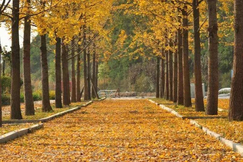 人生路上学会取舍别贪小便宜,做事切忌好高骛远人生感悟