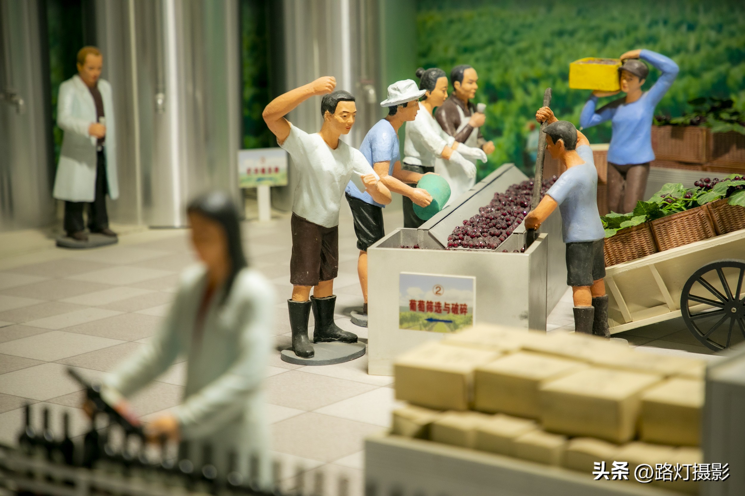 打卡世界级白酒庄园,打卡世界级白酒红酒