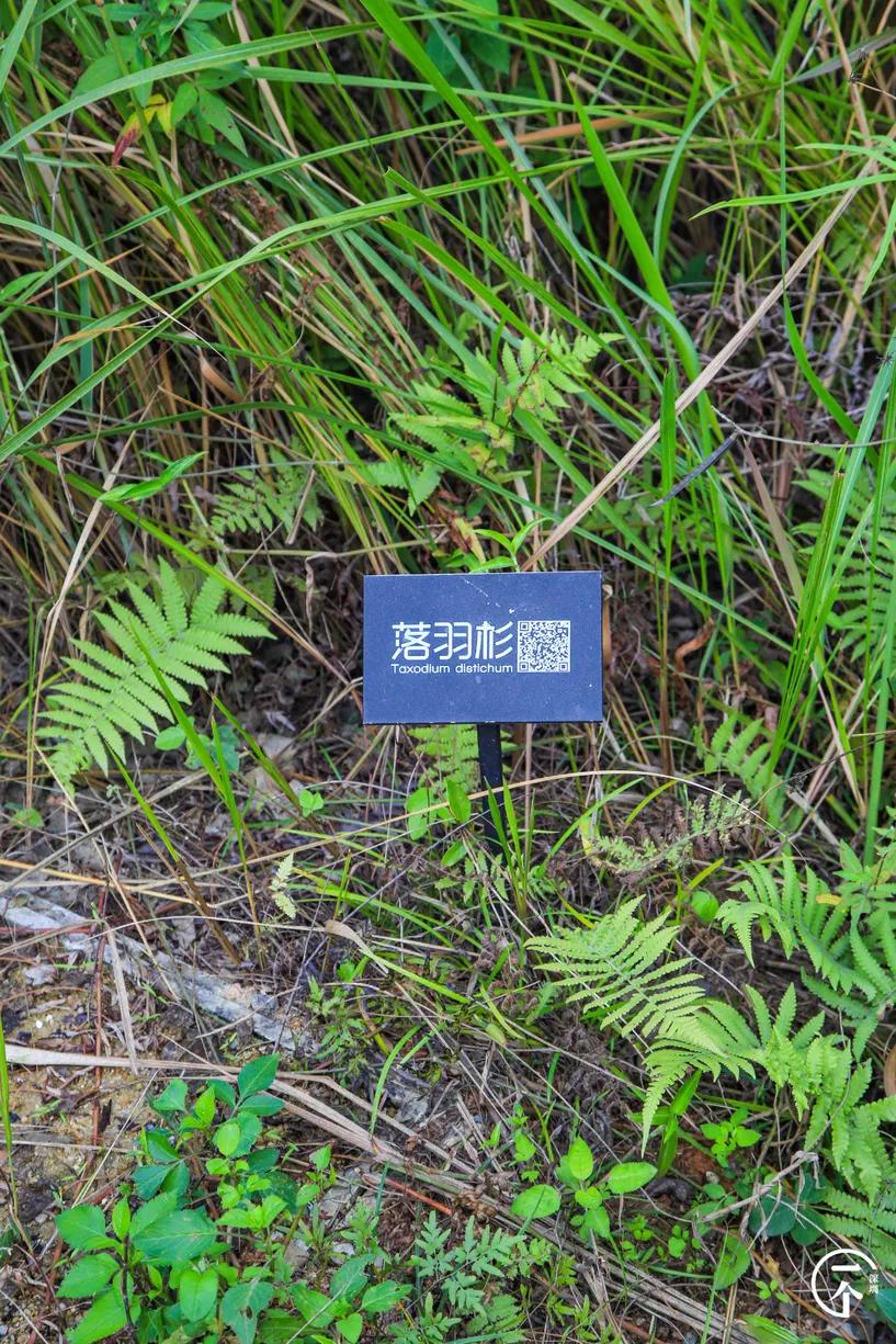 深圳4个绝美海岛,深圳值得游玩的小岛