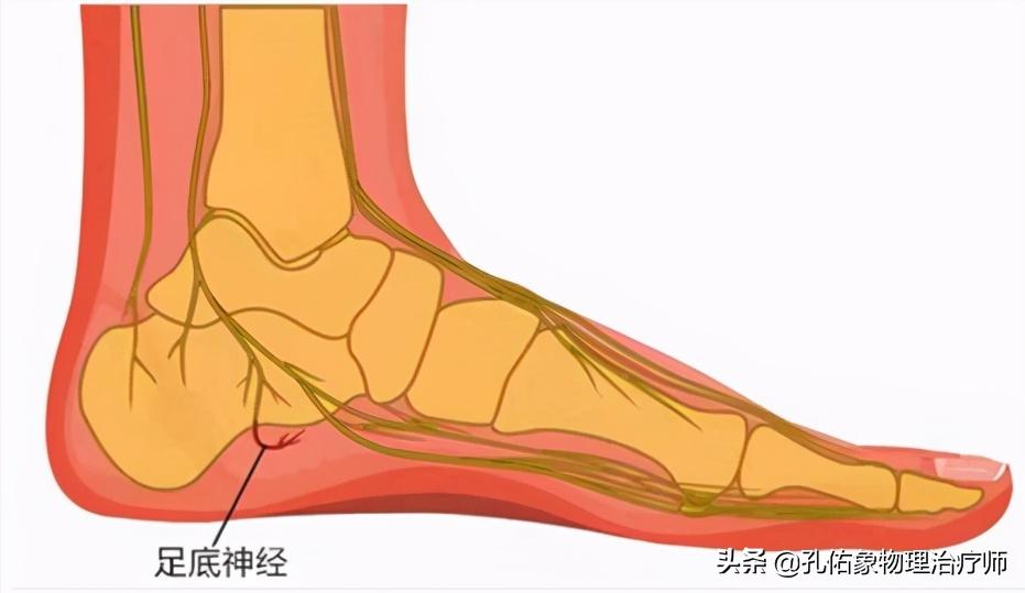 中老年人脚底痛是什么原因,老人脚底板好疼是什么原因