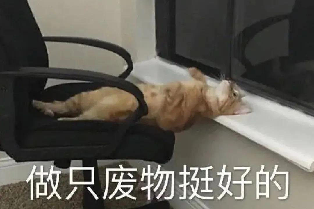 买球跟买股票的区别,炒股和买球的区别