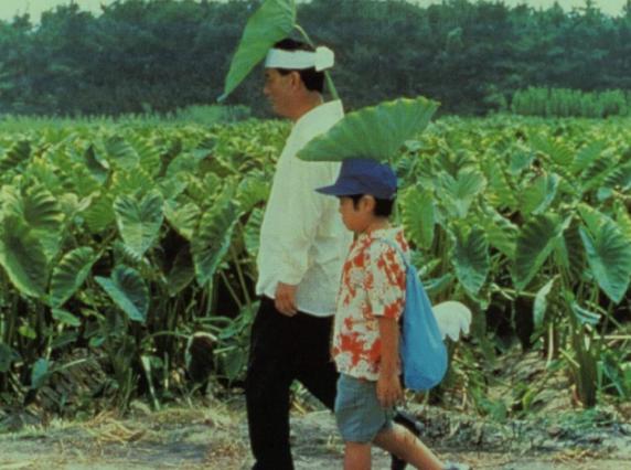 72岁北野武多少岁离婚,北野武多少岁离婚