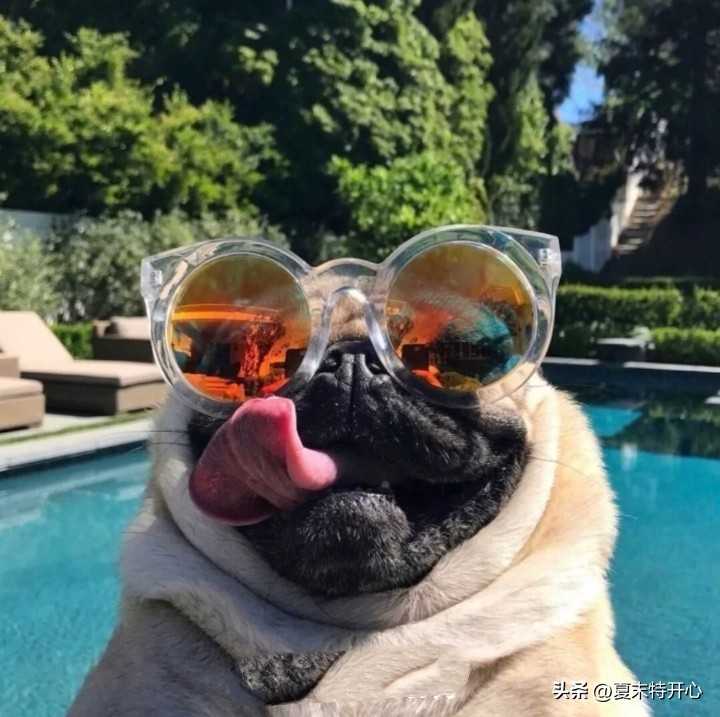 让你笑岔气的笑话,搞笑的让你笑岔气的小故事