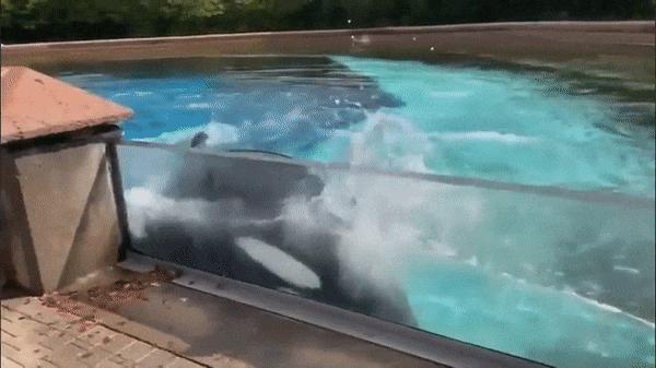 全网最近大事件,最大丑闻案件