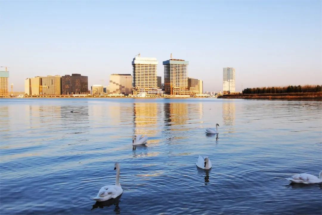 郑州碧桂园云境是现房吗,郑州碧桂园云境详细介绍