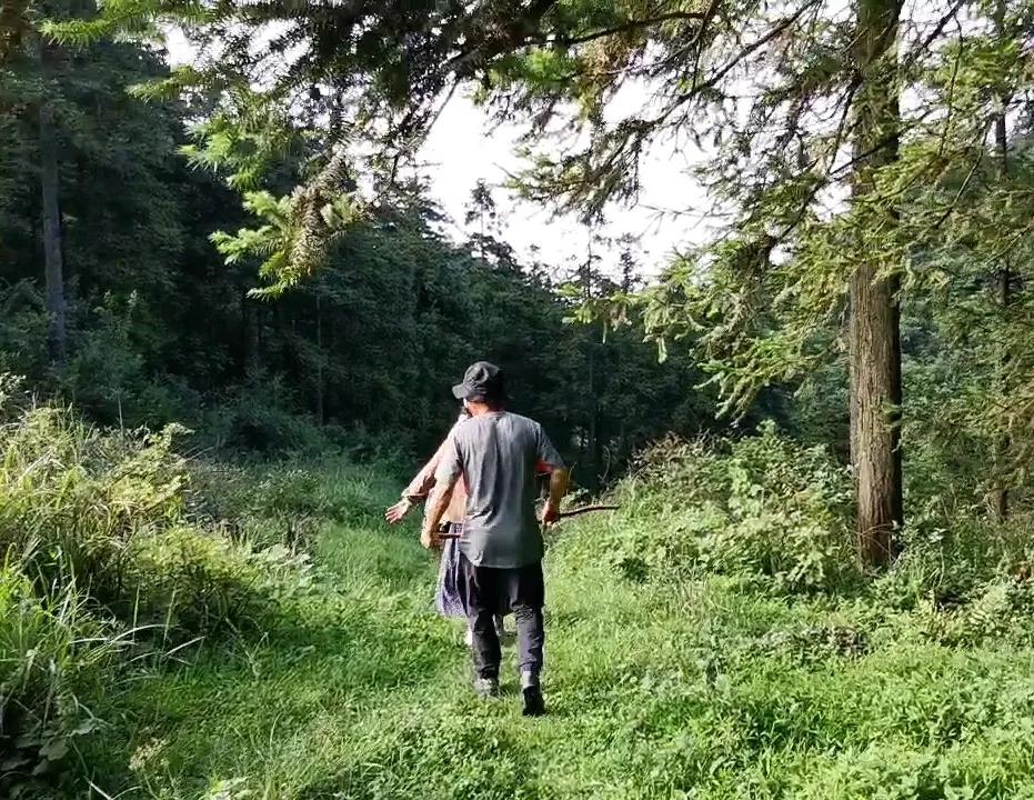 桐梓楚米避暑海拔高的地方,贵州桐梓楚米避暑哪家好