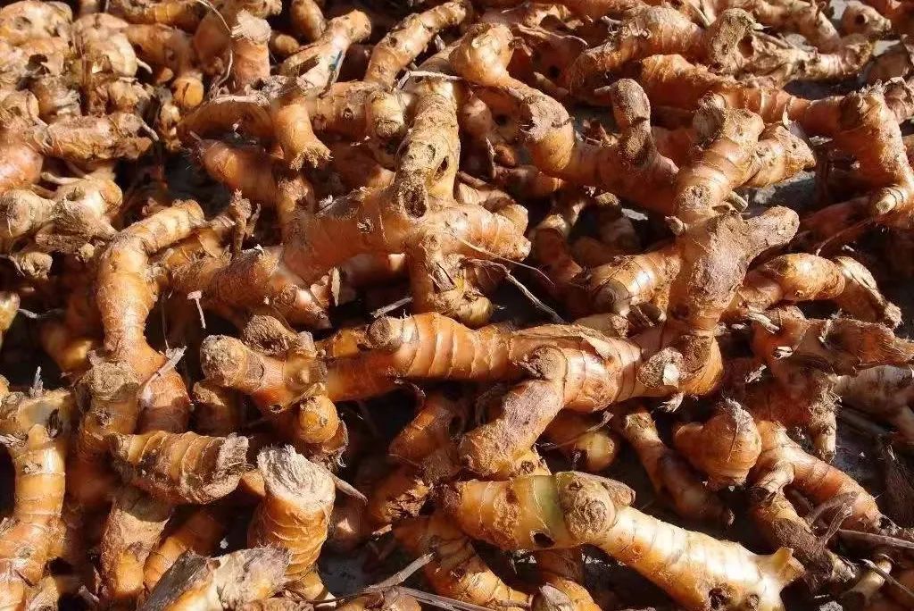 姜类香辛料都包含哪些种,12种必须了解的香料作用和用量