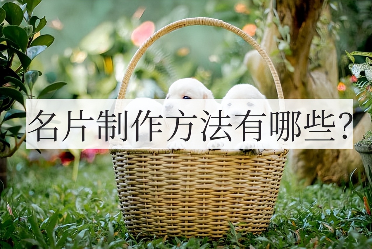 名片如何设计制作比较吸引人,名片制作包括哪些方法和技巧