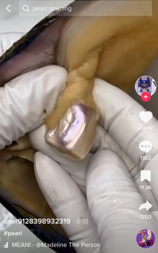 tiktok上带货,tiktok视频带货如何选品