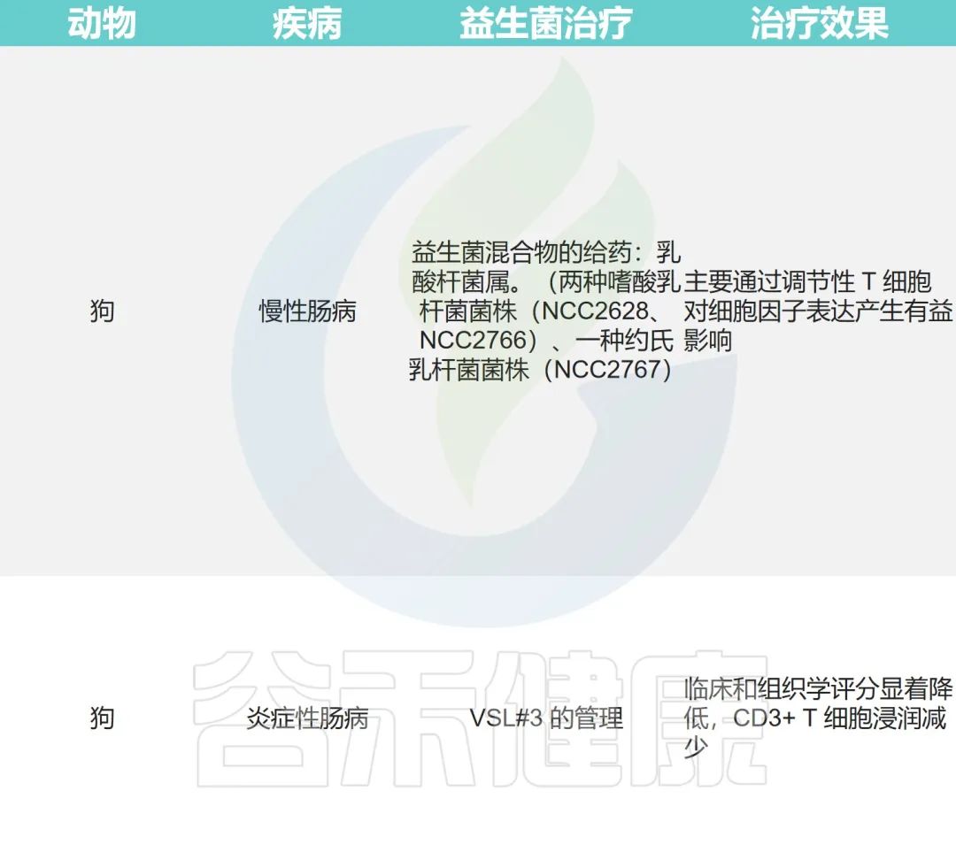 猫肠道菌群活性显微镜,猫肠道菌群类型图