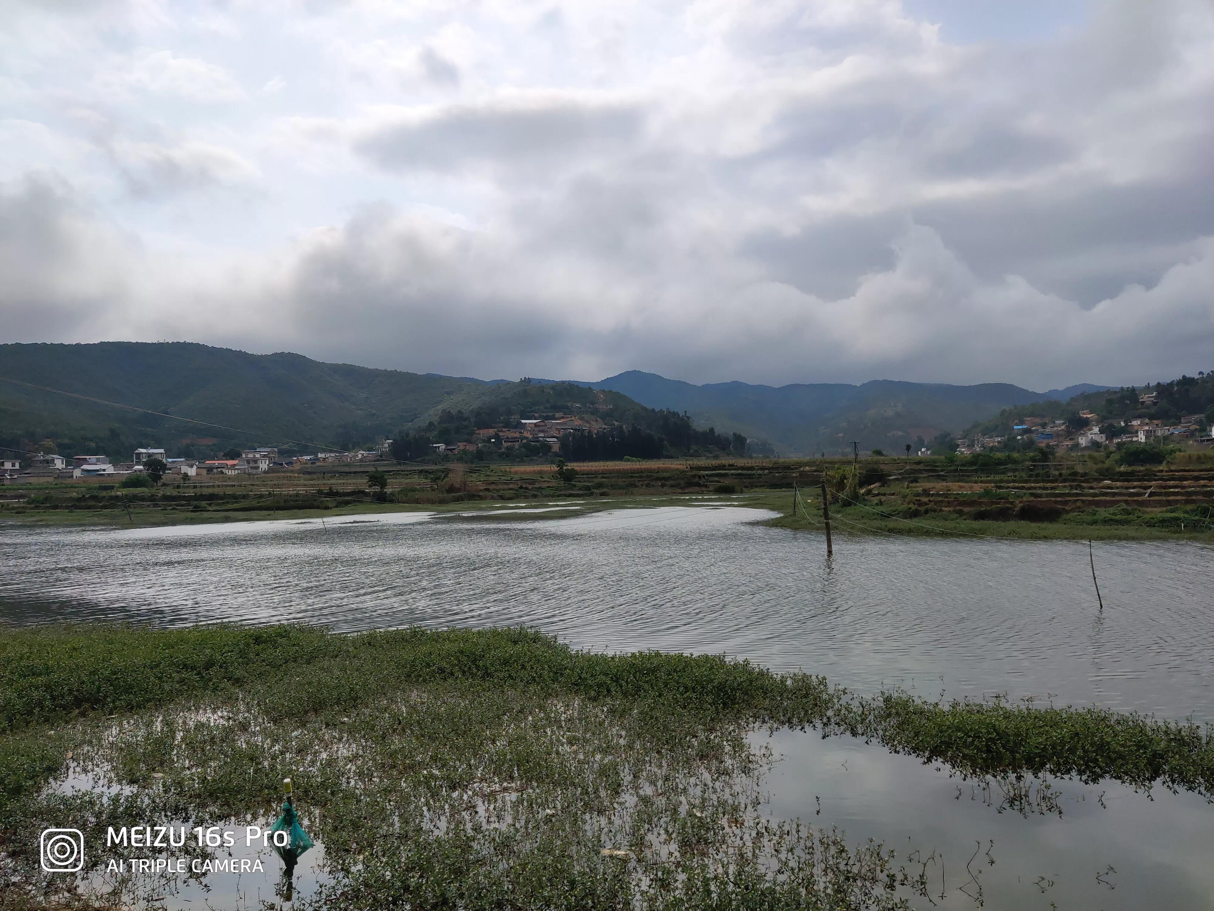 旧忆录——怕屎的脏孩子