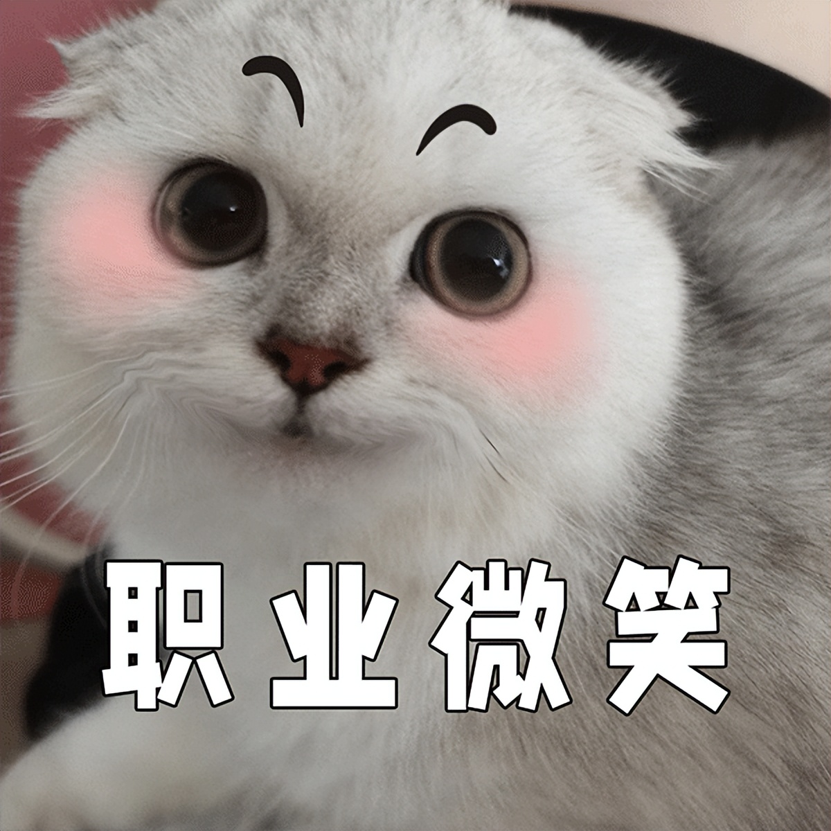 11550元！在兰州的你达标了吗？