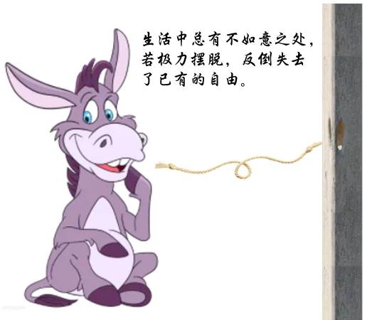 怎样睡觉才会眼睛好看,怎样才能睡好觉不失眠