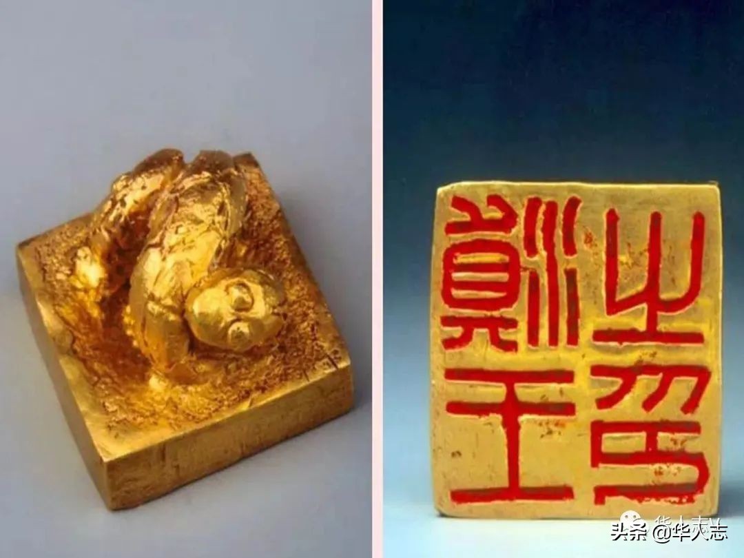 云南虫谷灵异故事,云南虫谷中的十大怪物