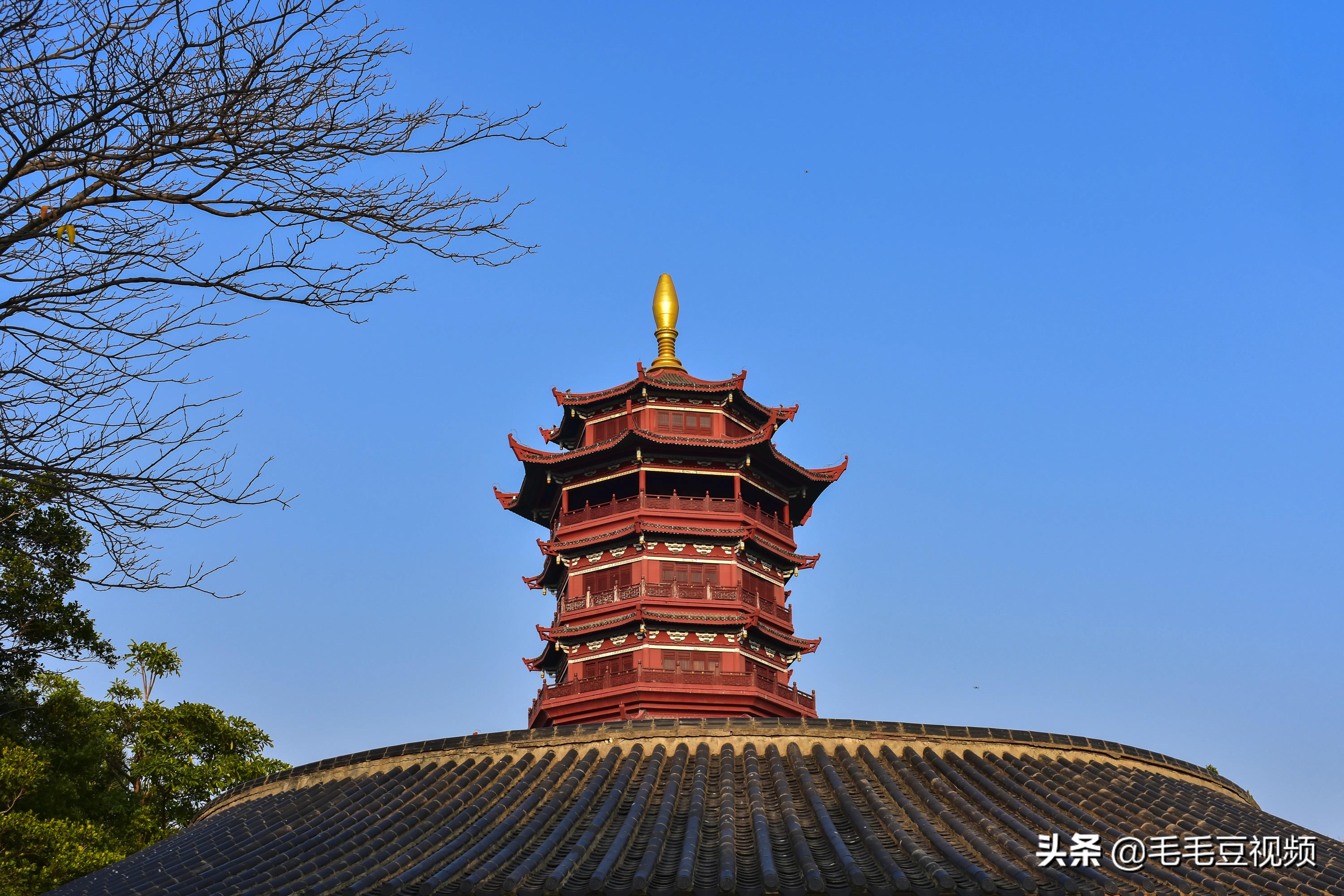 厦门适合初次约会的景点,厦门约会免费景点攻略图