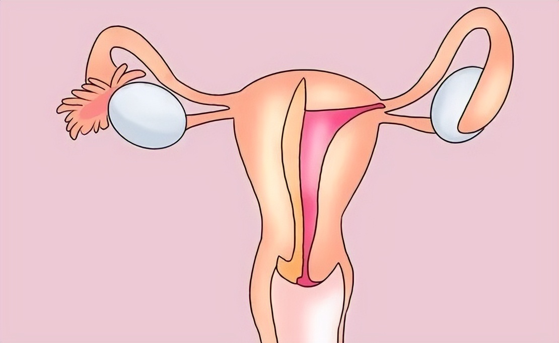 阴挺和什么有关,阴挺怎么治好得快