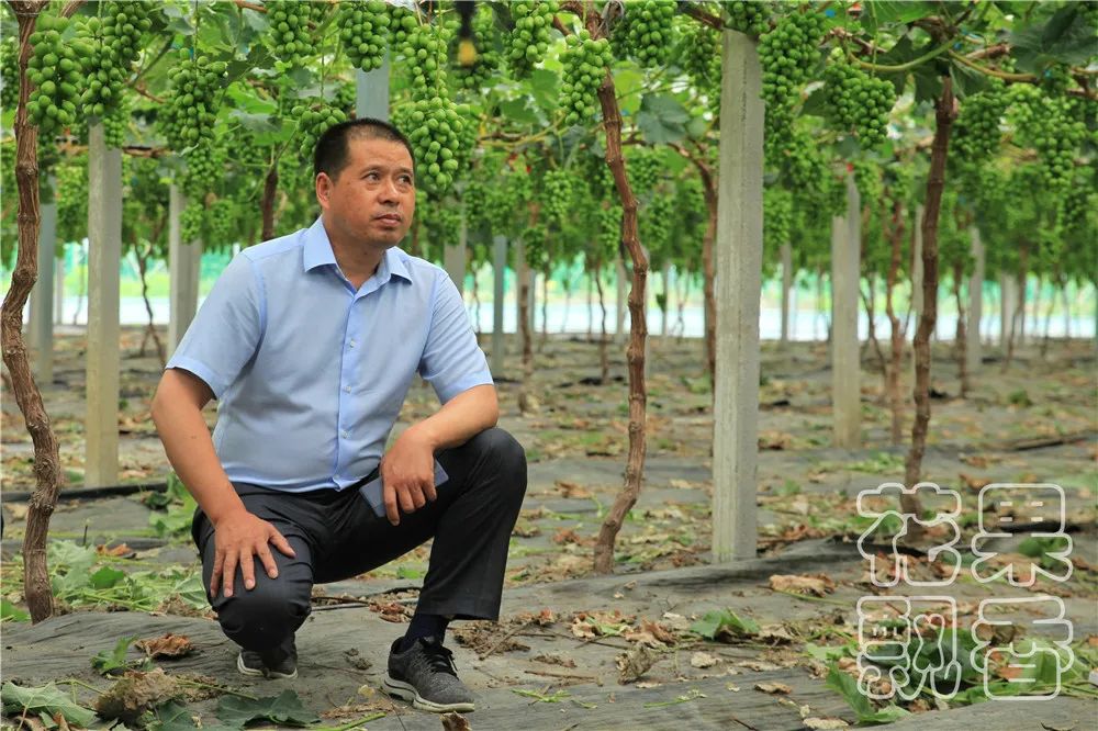 农业创收有妙招,农业应该怎么赚钱