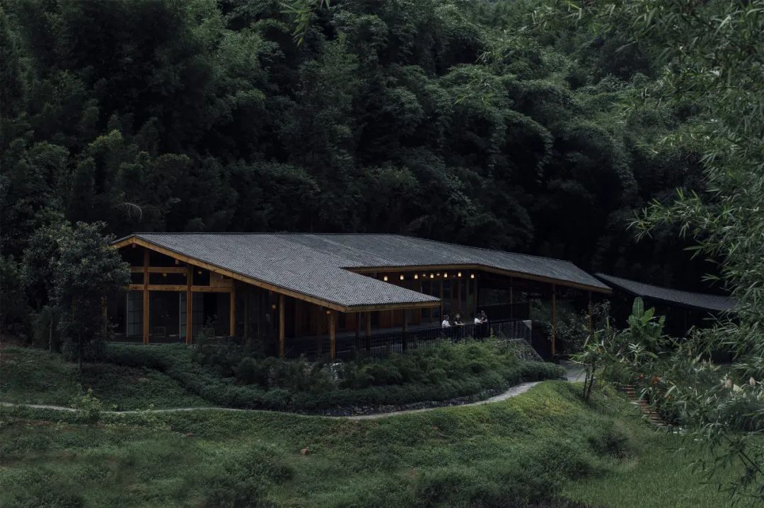 乡村振兴谋划不全不细典型案例,国内外乡村振兴典型代表及案例