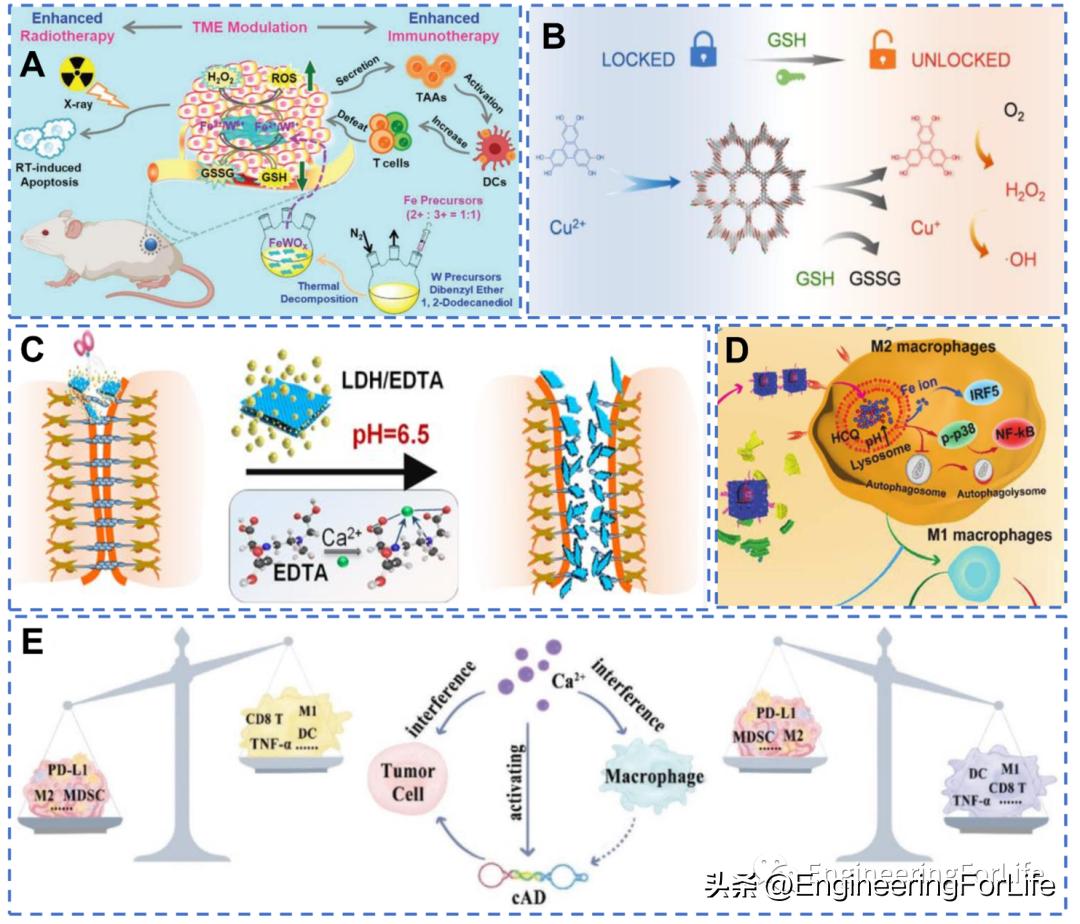 纳米材料抗肿瘤药物怎么用,新型纳米材料治疗肿瘤