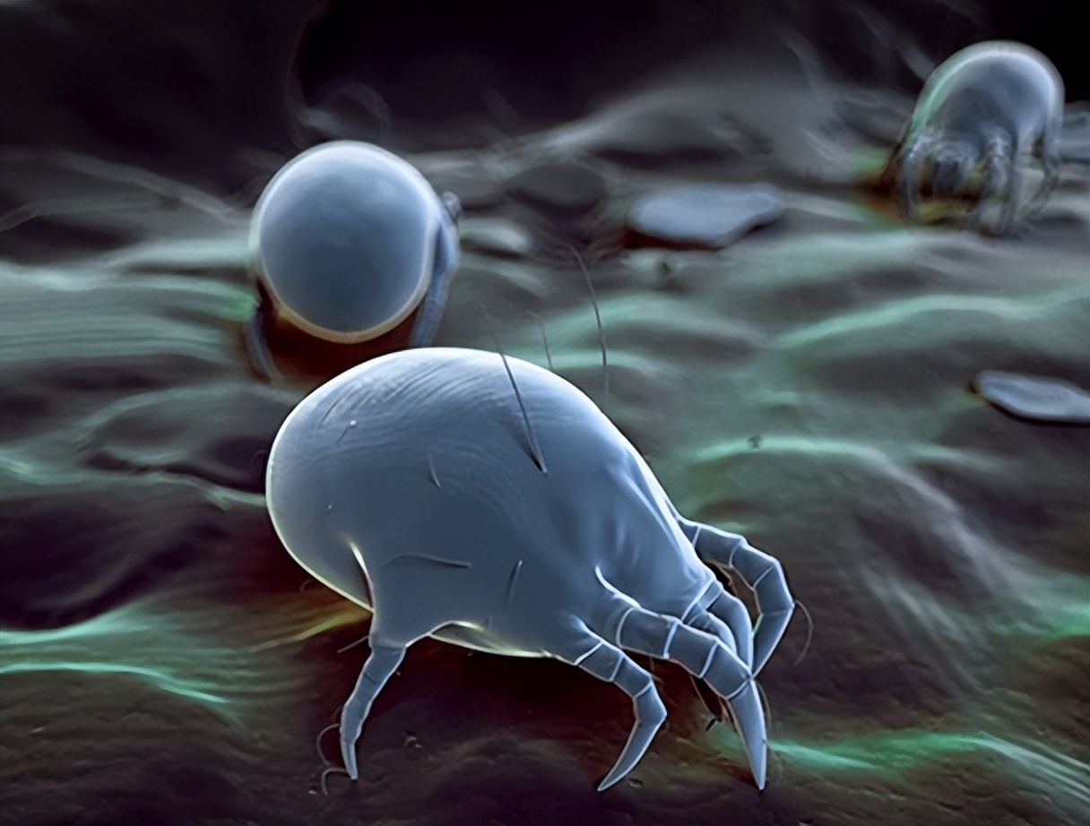 硫磺皂洗脸后皮肤刺痛感怎么办,经常用硫磺皂洗脸对皮肤有影响吗