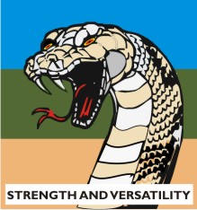 尼日利亚货币标识,尼日利亚军代表