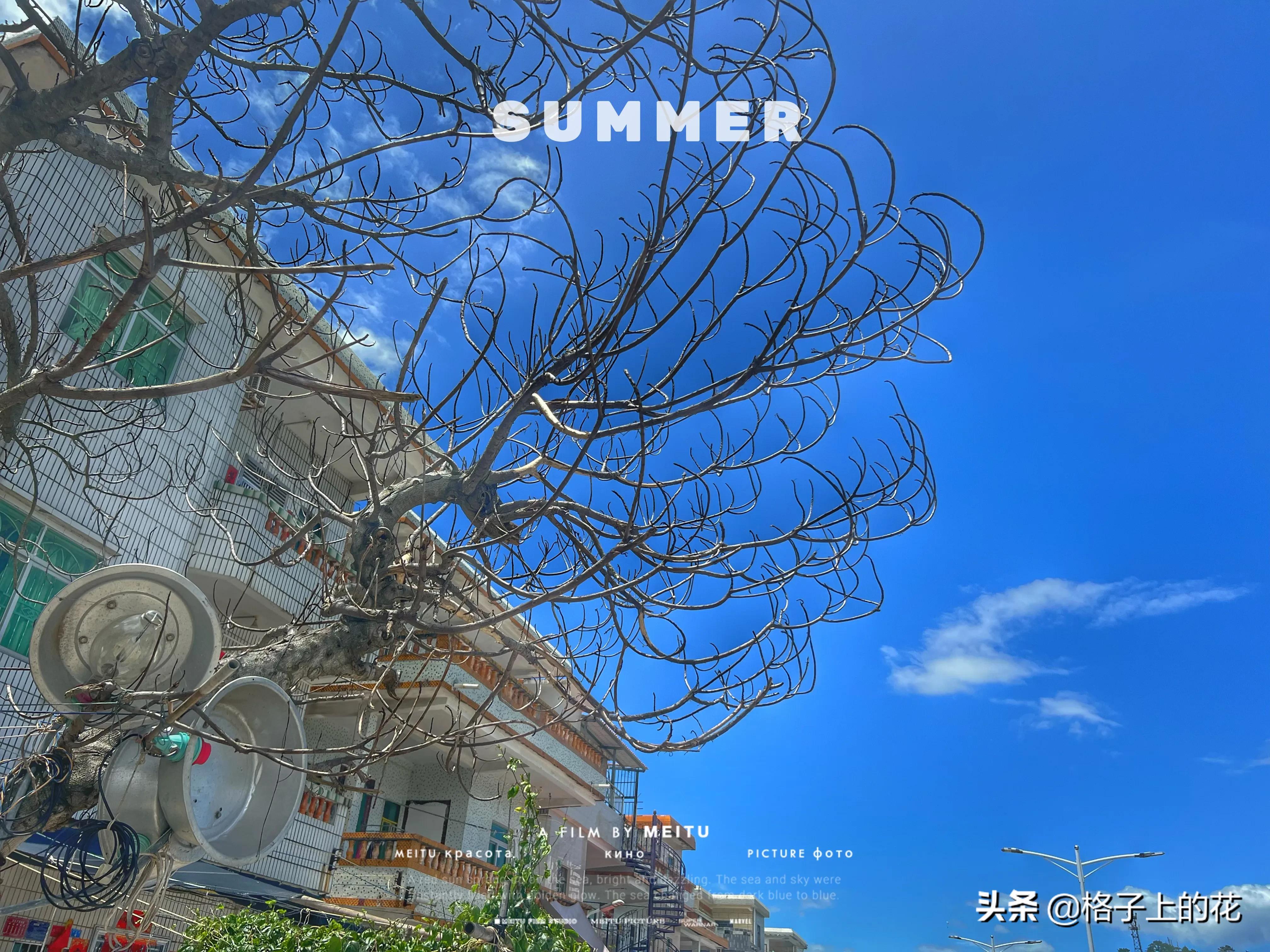 惠州怎么坐船出海旅游,惠州坐船上岛游玩攻略