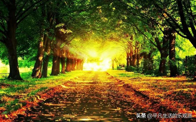 外卖小哥为还债3年挣102万真的吗,外卖小哥月入2万还负债40万