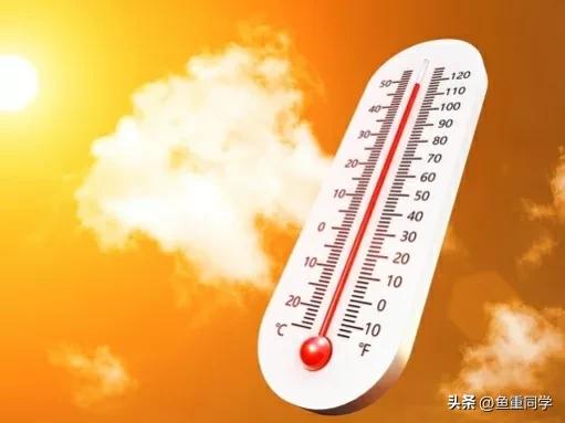 四月八日和四月初八有什么不同,三伏热不热看六月十五