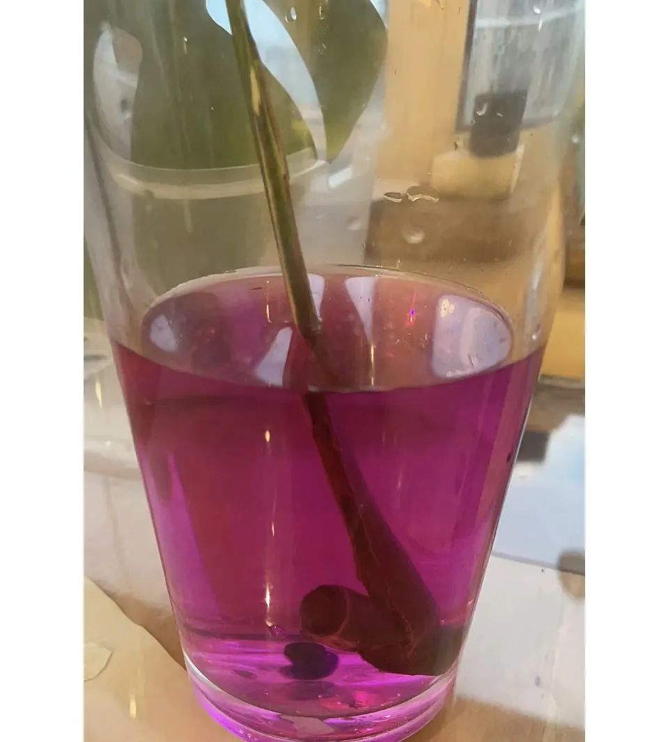 1毛钱药片,一百块钱一颗的小药片