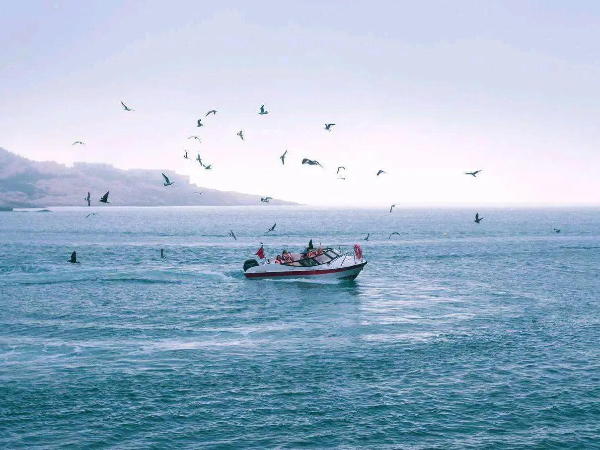 山东性价比高的海边小镇,山东最低调的城市