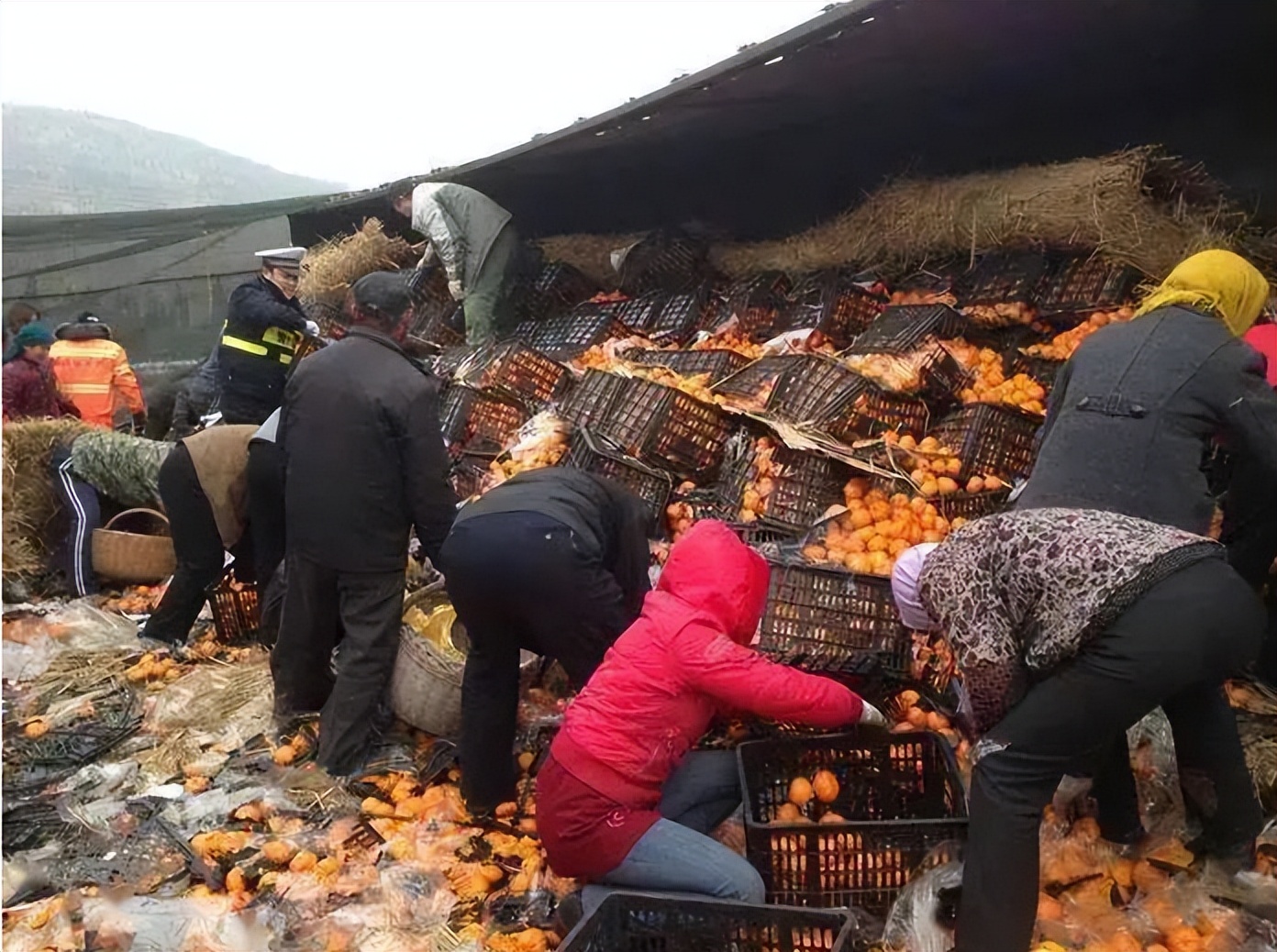 30箱香蕉被哄抢什么地方,30箱香蕉被抢