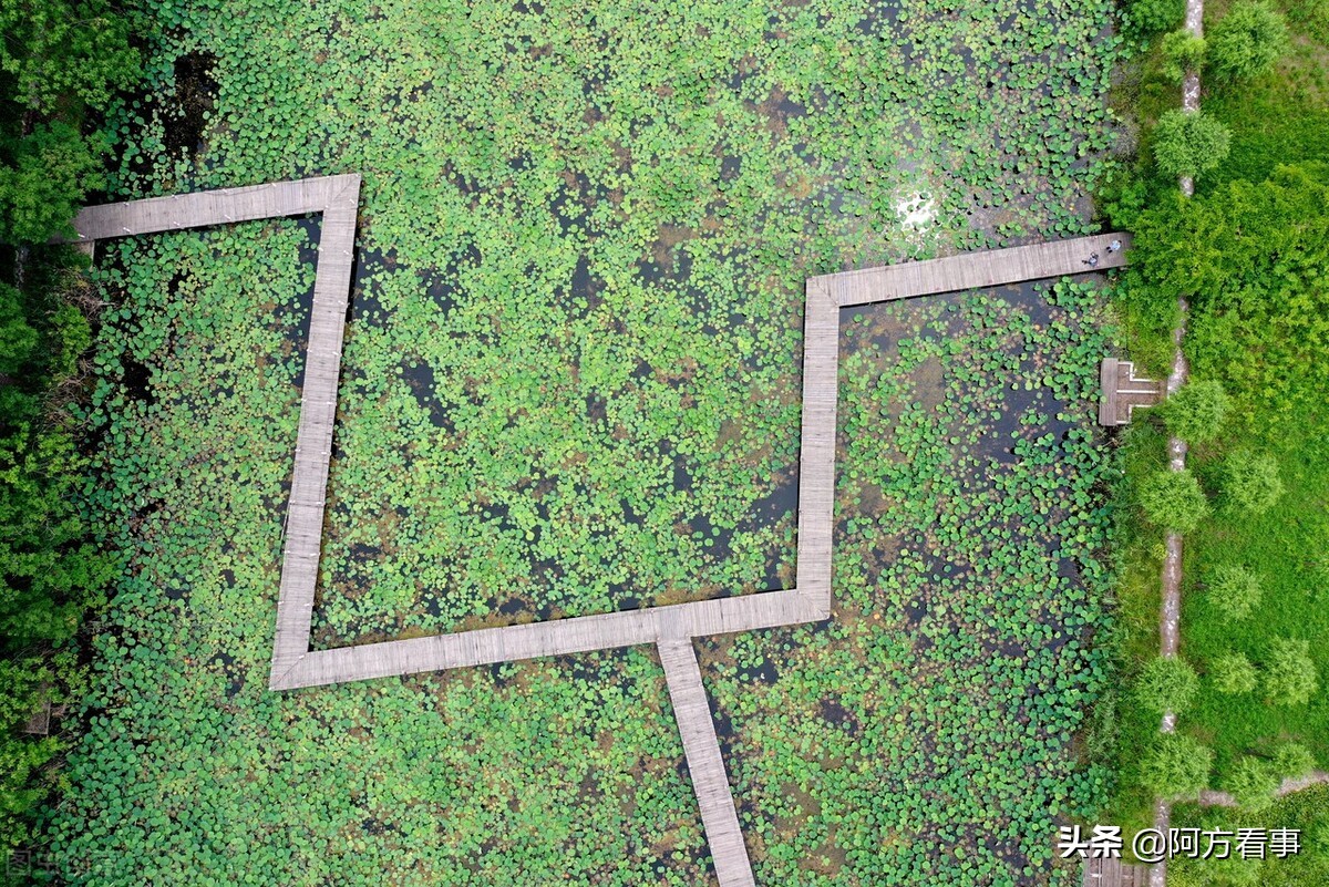 滕州旅游业,滕州旅游发展如何