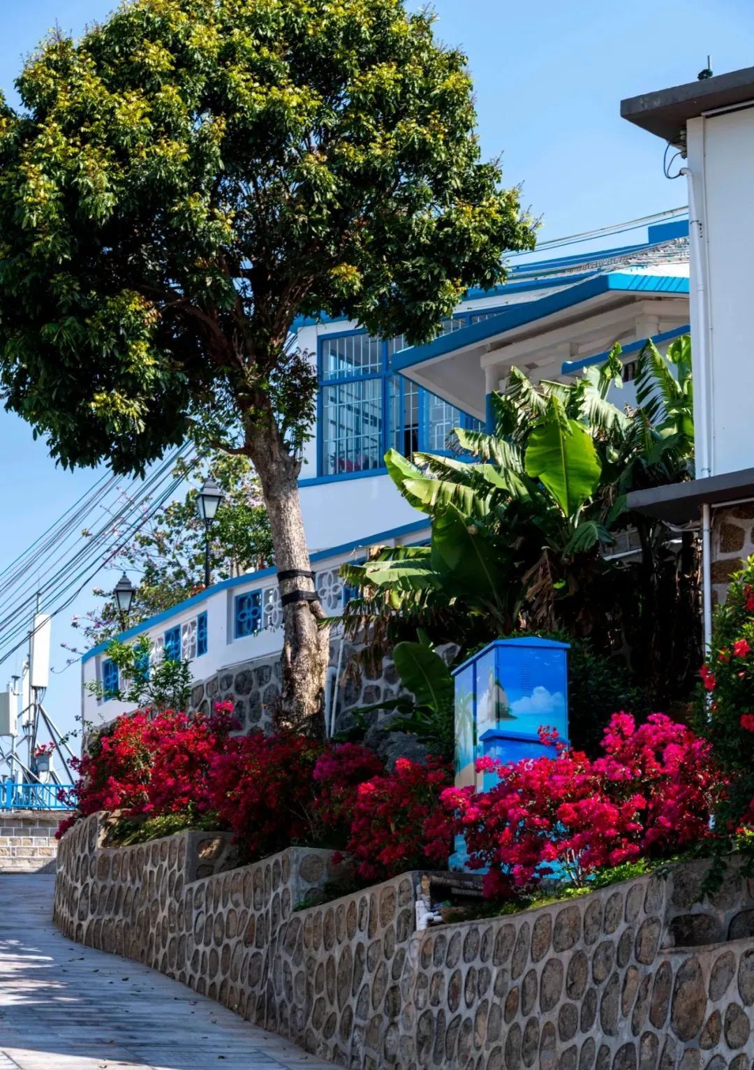 广州海岛旅游攻略一日游路线,珠海一日往返海岛旅游攻略