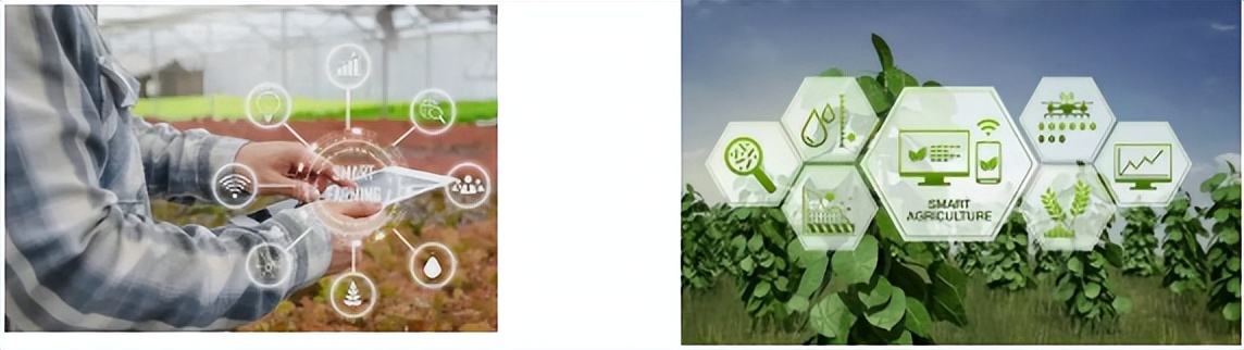 在休闲度假区有什么项目可操作,快来看看哪些项目更受欢迎