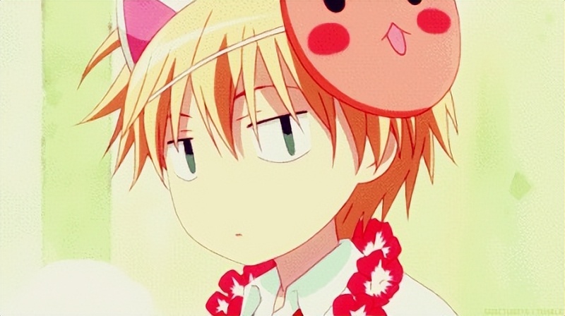 2022年飞机杯大盘点,前十排名飞机杯评测